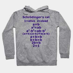 Physics nerd teacher saying Schrödinger's cat Hoodie